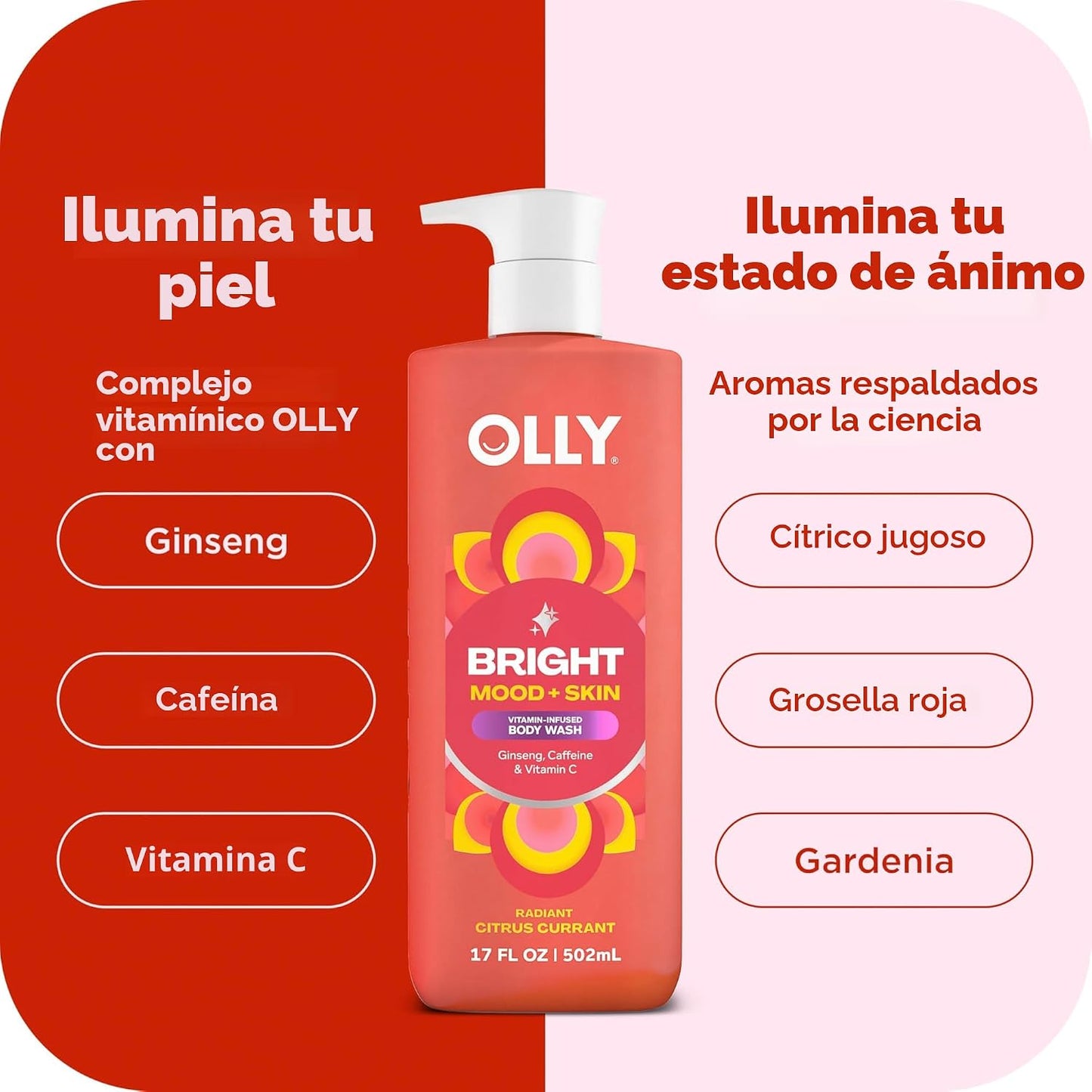 KIT OLLY THE VARIETY KIT – Energía, calma & renovación